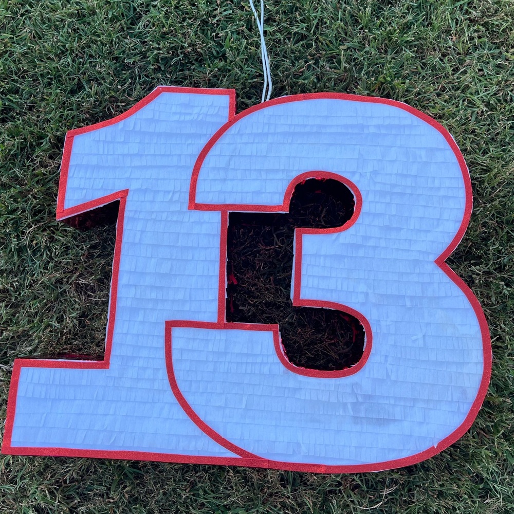 #13 Pinata